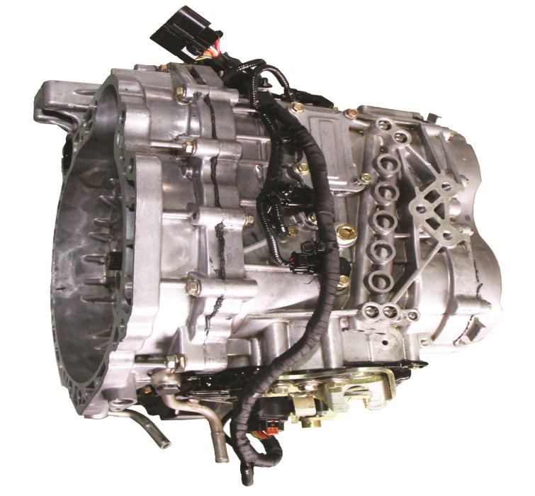 DF515.JPG